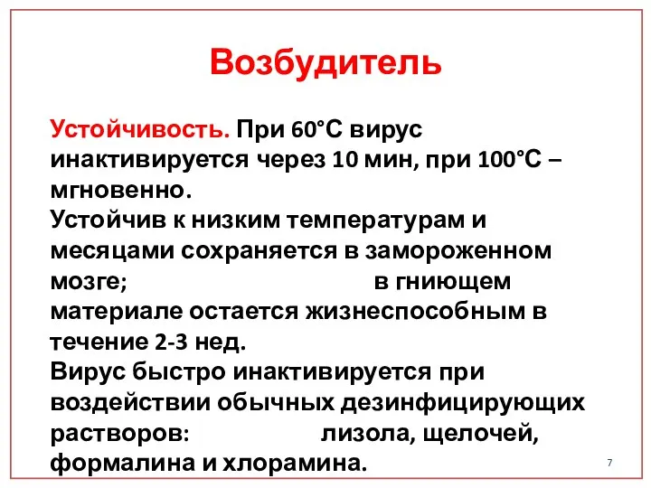 Устойчивость. При 60°С вирус инактивируется через 10 мин, при 100°С –