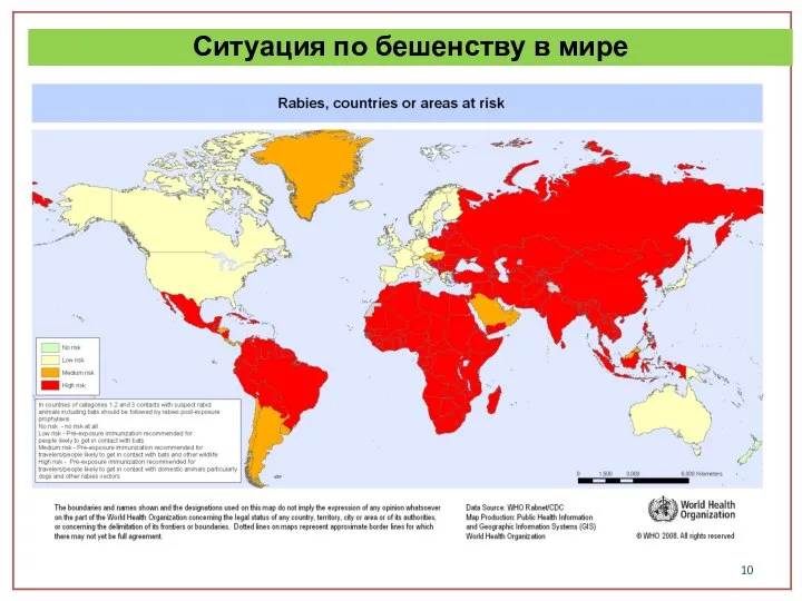 Ситуация по бешенству в мире