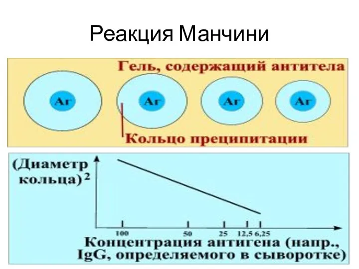 Реакция Манчини