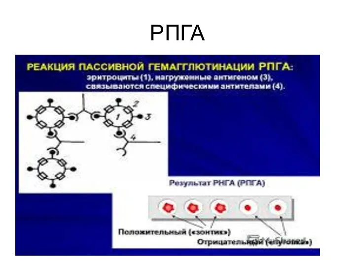 РПГА