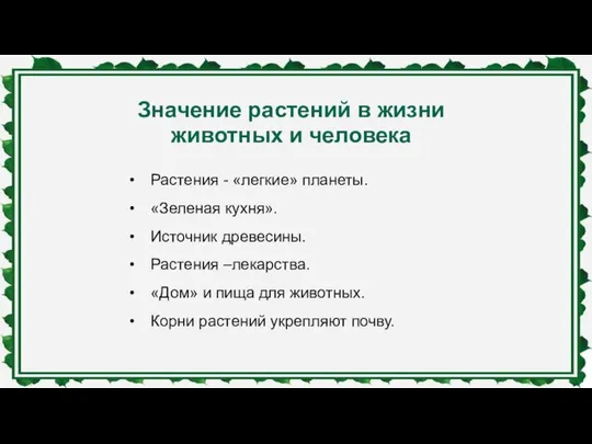 Значение растений в жизни животных и человека Растения - «легкие» планеты.