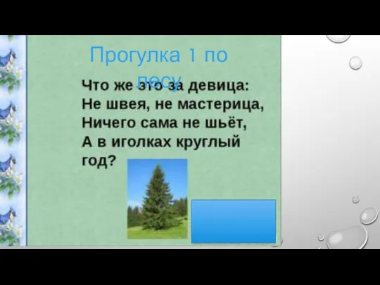 Прогулка 1 по лесу А как зовут иголки У сосны и у елки? (Хвоя)