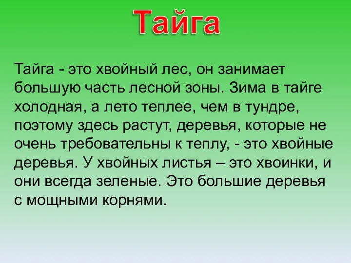 Тайга - это хвойный лес, он занимает большую часть лесной зоны.