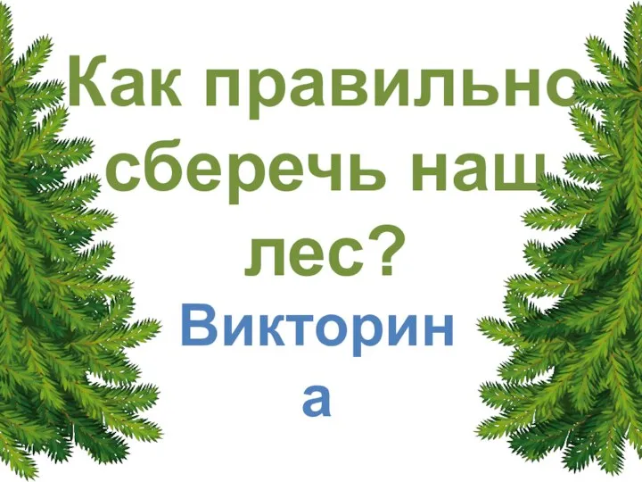 Как правильно сберечь наш лес? Викторина