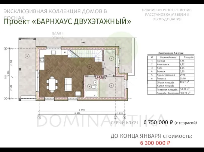 ЭКСКЛЮЗИВНАЯ КОЛЛЕКЦИЯ ДОМОВ В СОСНАХ ПЛАНИРОВОЧНОЕ РЕШЕНИЕ. РАССТАНОВКА МЕБЕЛИ И ОБОРУДОВАНИЯ