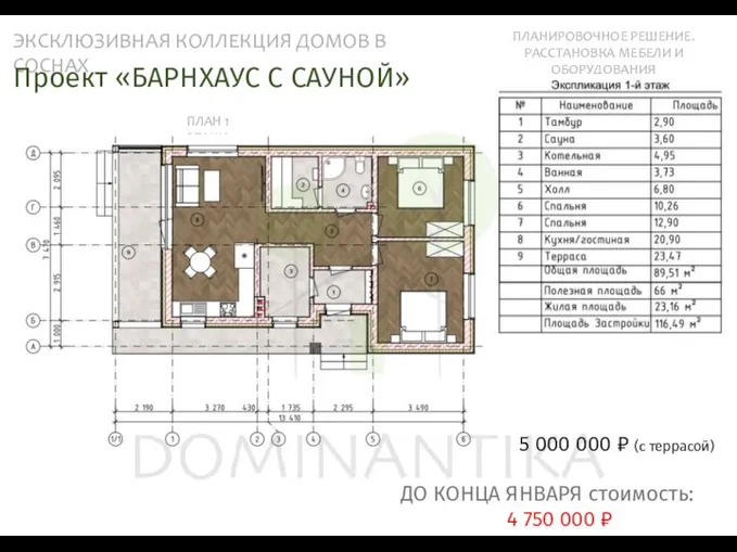 ЭКСКЛЮЗИВНАЯ КОЛЛЕКЦИЯ ДОМОВ В СОСНАХ ПЛАНИРОВОЧНОЕ РЕШЕНИЕ. РАССТАНОВКА МЕБЕЛИ И ОБОРУДОВАНИЯ