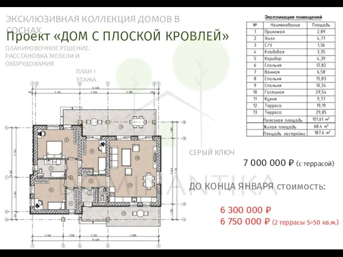 ЭКСКЛЮЗИВНАЯ КОЛЛЕКЦИЯ ДОМОВ В СОСНАХ ПЛАНИРОВОЧНОЕ РЕШЕНИЕ. РАССТАНОВКА МЕБЕЛИ И ОБОРУДОВАНИЯ