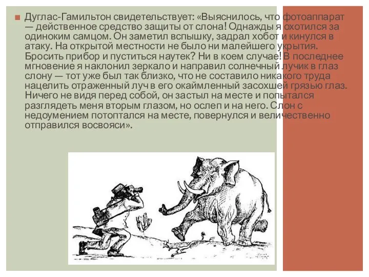 Дуглас-Гамильтон свидетельствует: «Выяснилось, что фотоаппарат — действенное средство защиты от слона!