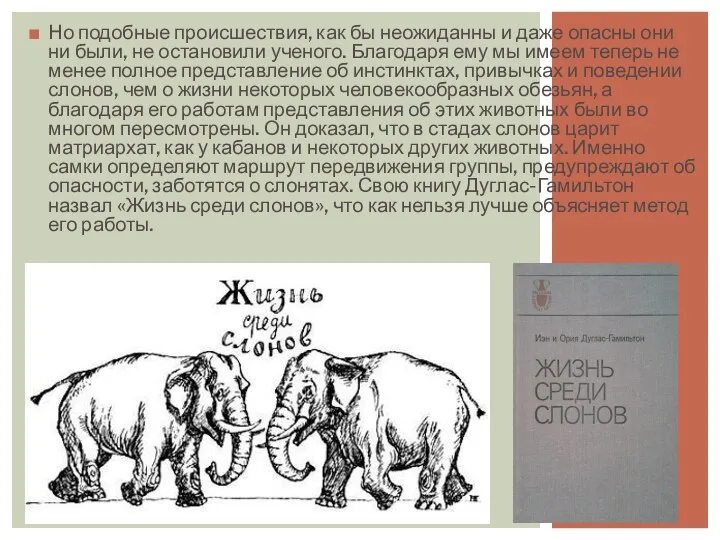 Но подобные происшествия, как бы неожиданны и даже опасны они ни