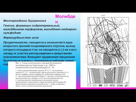 Месторождение: Бугдаинское Генезис, формация: гидротермальный, молибденовая порфировая, молибднет-гюбнерит-сульфидная Форма рудных тел: