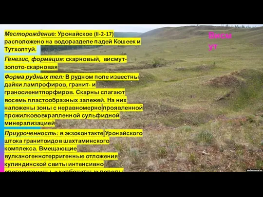 Месторождение: Уронайское (II-2-17) расположено на водоразделе падей Кошеек и Тутхолтуй. Генезис,