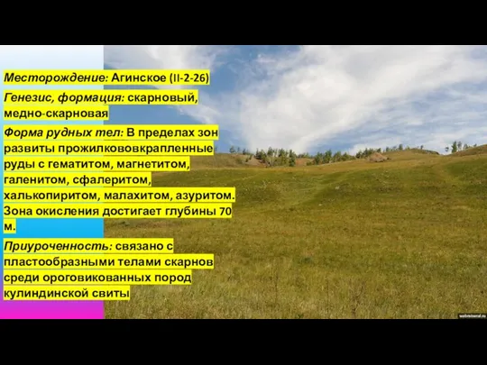 Месторождение: Агинское (II-2-26) Генезис, формация: скарновый, медно-скарновая Форма рудных тел: В