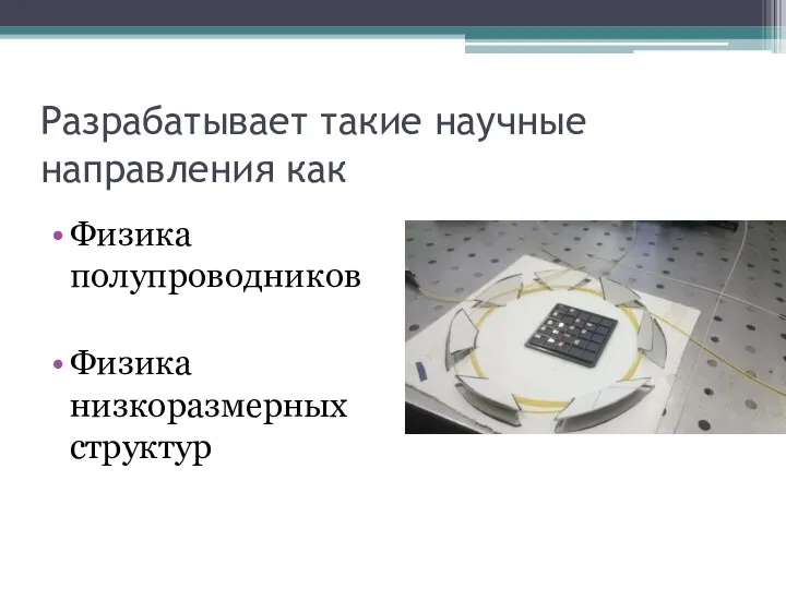 Разрабатывает такие научные направления как Физика полупроводников Физика низкоразмерных структур