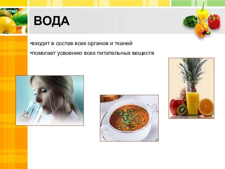 ВОДА входит в состав всех органов и тканей помогает усвоению всех питательных веществ