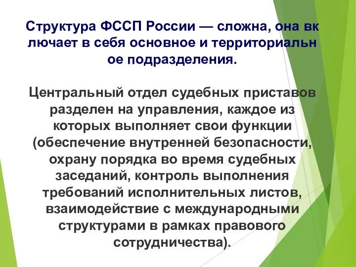 Структура ФССП России — сложна, она включает в себя основное и