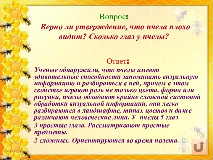 Вопрос: Верно ли утверждение, что пчела плохо видит? Сколько глаз у