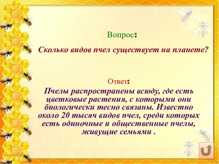 Вопрос: Сколько видов пчел существует на планете? Ответ: Пчелы распространены всюду,