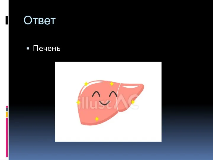 Ответ Печень