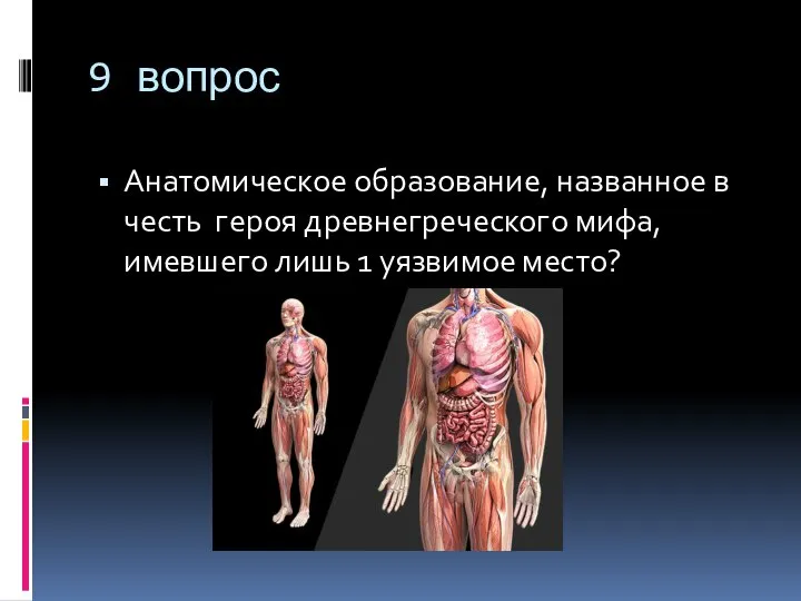 9 вопрос Анатомическое образование, названное в честь героя древнегреческого мифа, имевшего лишь 1 уязвимое место?