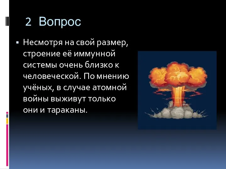 2 Вопрос Несмотря на свой размер, строение её иммунной системы очень