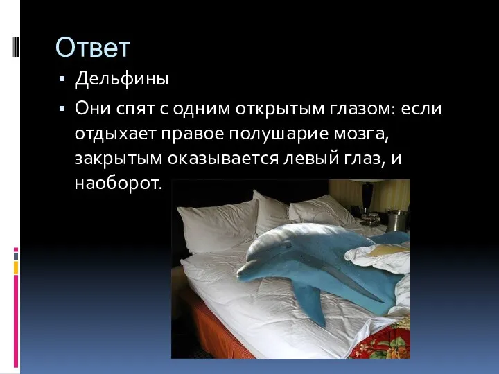 Ответ Дельфины Они спят с одним открытым глазом: если отдыхает правое