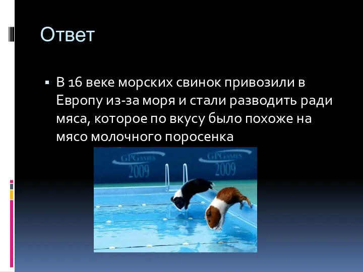 Ответ В 16 веке морских свинок привозили в Европу из-за моря