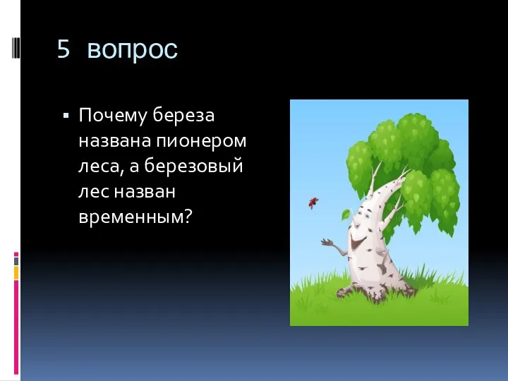 5 вопрос Почему береза названа пионером леса, а березовый лес назван временным?