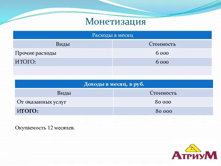 Монетизация Окупаемость 12 месяцев.