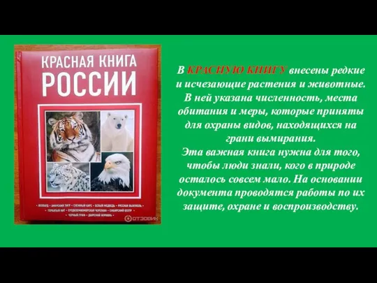 В КРАСНУЮ КНИГУ внесены редкие и исчезающие растения и животные. В