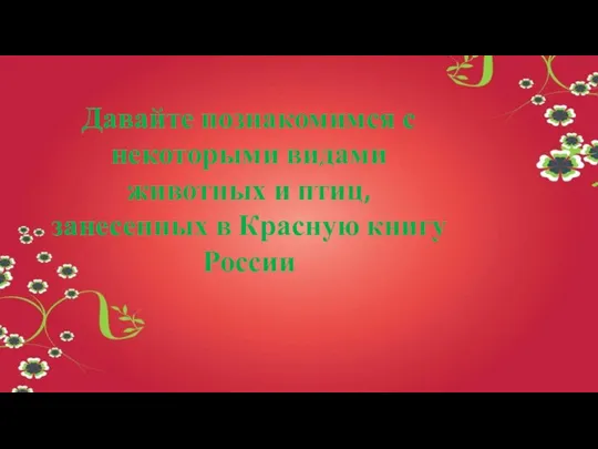 Давайте познакомимся с некоторыми видами животных и птиц, занесенных в Красную книгу России