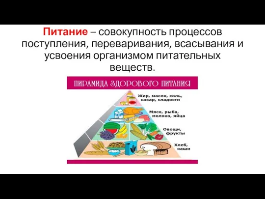 Питание – совокупность процессов поступления, переваривания, всасывания и усвоения организмом питательных веществ.