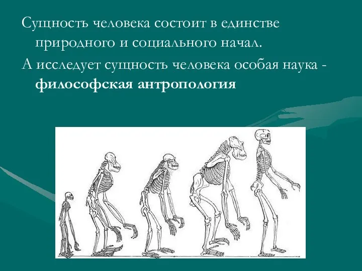 Сущность человека состоит в единстве природного и социального начал. А исследует