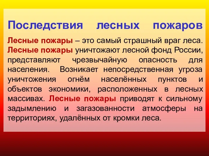 Последствия лесных пожаров Лесные пожары – это самый страшный враг леса.