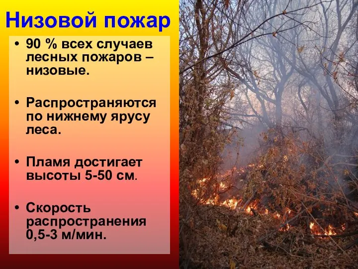 Низовой пожар 90 % всех случаев лесных пожаров – низовые. Распространяются