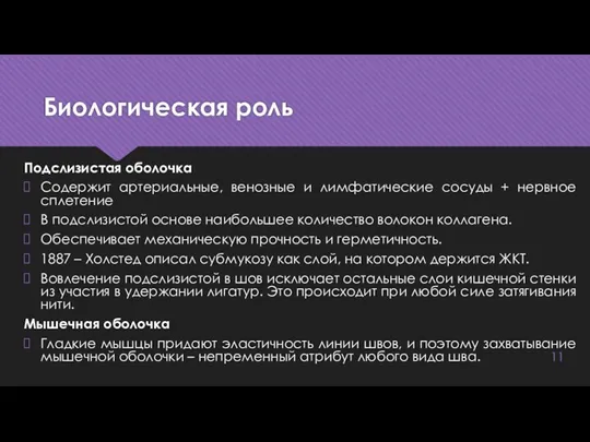 Биологическая роль Подслизистая оболочка Содержит артериальные, венозные и лимфатические сосуды +