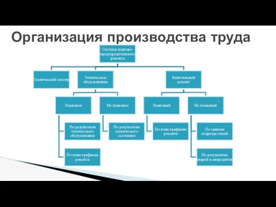 Организация производства труда