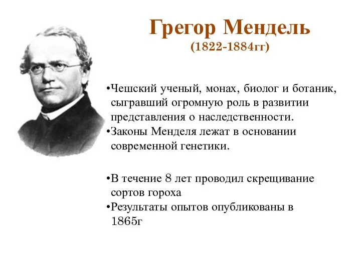 Грегор Мендель (1822-1884гг) Чешский ученый, монах, биолог и ботаник, сыгравший огромную