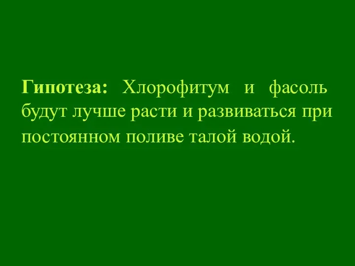 Гипотеза: Хлорофитум и фасоль будут лучше расти и развиваться при постоянном поливе талой водой.