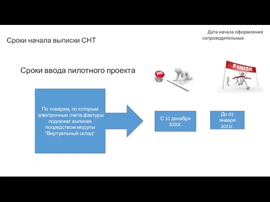 Сроки начала выписки СНТ Сроки ввода пилотного проекта По товарам, по