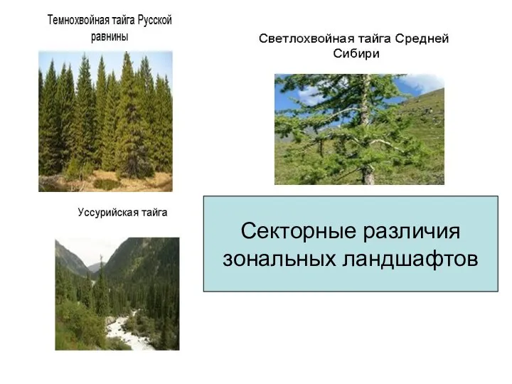 Секторные различия зональных ландшафтов