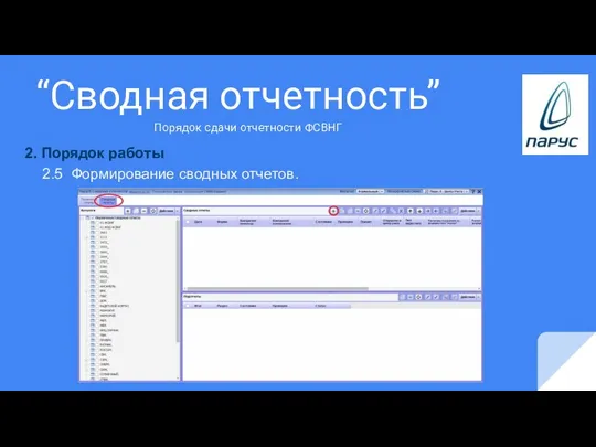 “Сводная отчетность” 2. Порядок работы 2.5 Формирование сводных отчетов. Порядок сдачи отчетности ФСВНГ