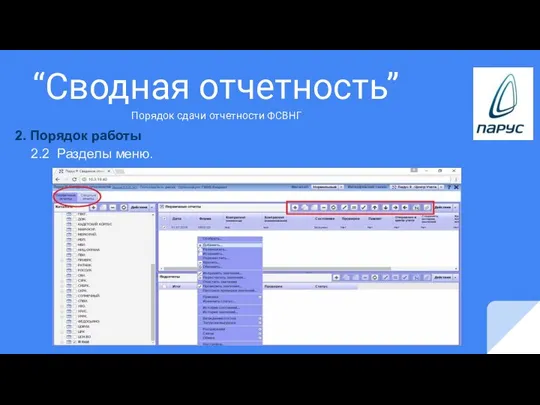 “Сводная отчетность” 2. Порядок работы 2.2 Разделы меню. Порядок сдачи отчетности ФСВНГ