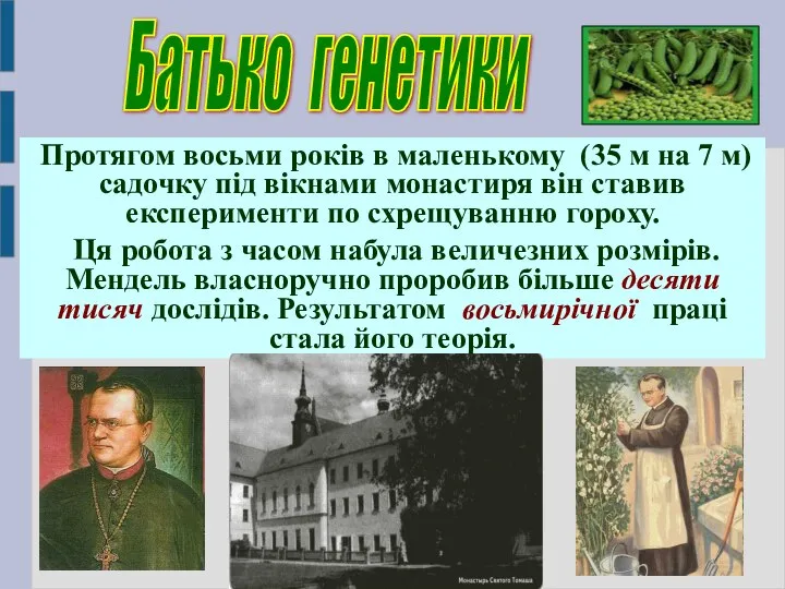 Протягом восьми років в маленькому (35 м на 7 м) садочку