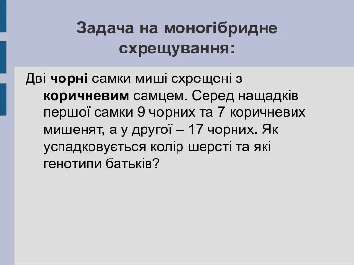 Задача на моногібридне схрещування: Дві чорні самки миші схрещені з коричневим