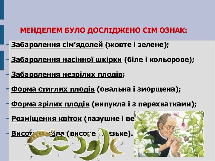 МЕНДЕЛЕМ БУЛО ДОСЛІДЖЕНО СІМ ОЗНАК: Забарвлення сім’ядолей (жовте і зелене); Забарвлення