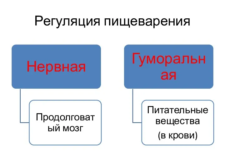 Регуляция пищеварения