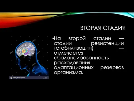 ВТОРАЯ СТАДИЯ На второй стадии — стадии резистенции (стабилизации) — отмечается сбалансированность расходования адаптационных резервов организма.