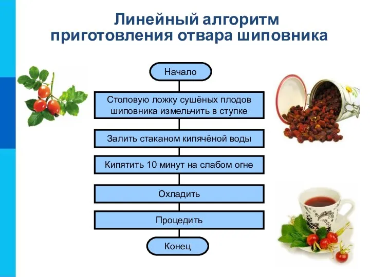 Начало Столовую ложку сушёных плодов шиповника измельчить в ступке Залить стаканом