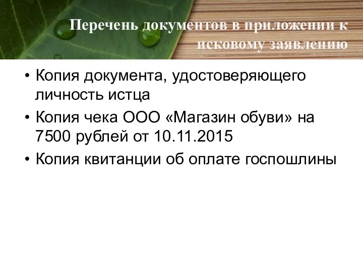 Перечень документов в приложении к исковому заявлению Копия документа, удостоверяющего личность