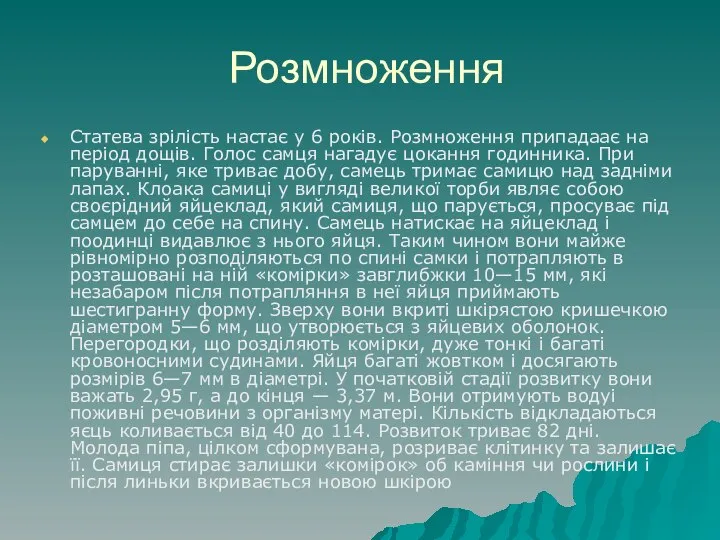 Розмноження Статева зрілість настає у 6 років. Розмноження припадаає на період